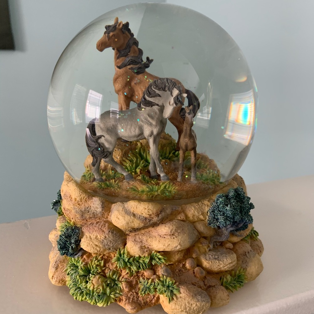Nat Geo Mustang SF Music Box Co Water Globe